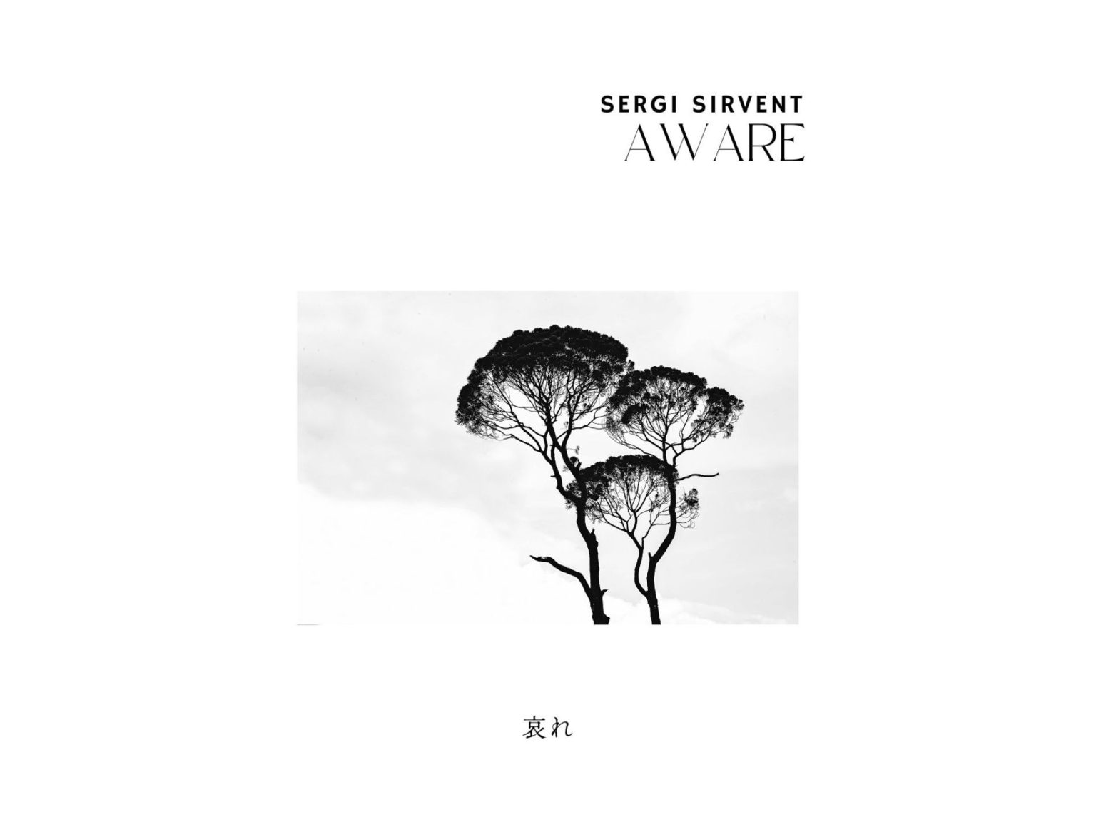 Sergi Sirvent AWARE