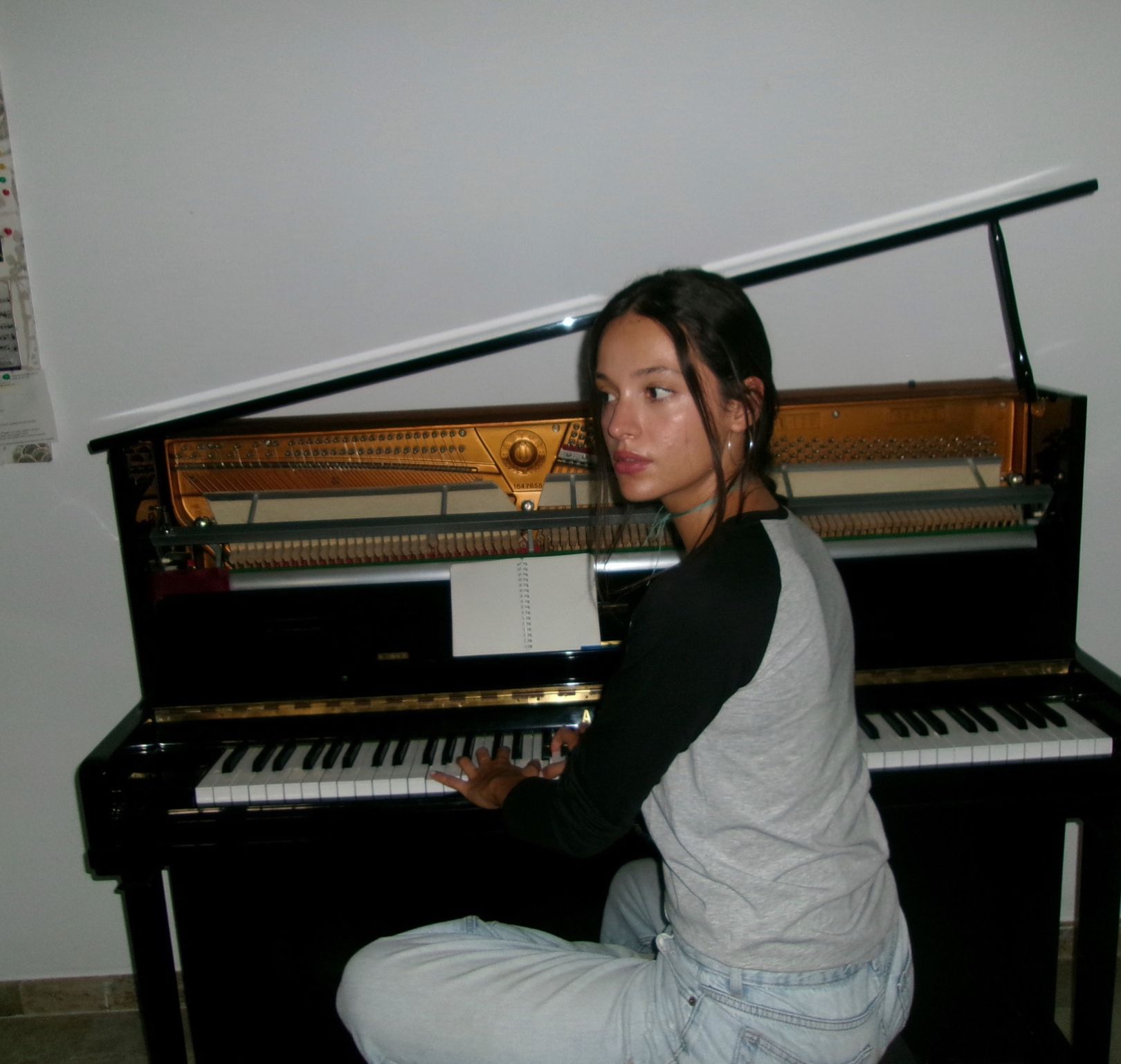 Source image — Claudia Arenas