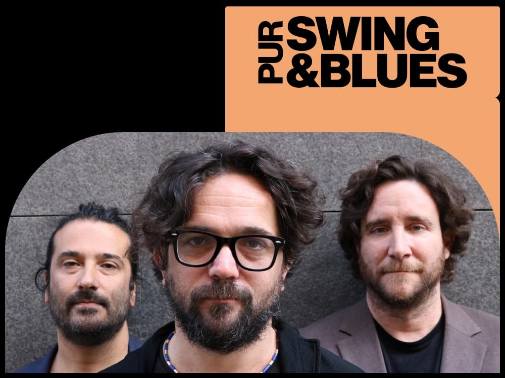 Pur Swing & Blues: Dusan J